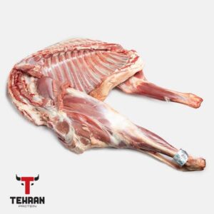 شقه گوسفندی بره نر